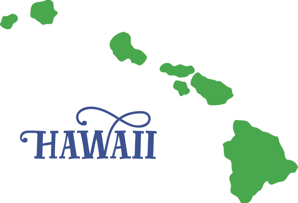 Hawaii peo companies